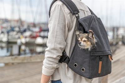 Trixie Be Nordic Dog Carrier Backpack Bjorn Black 35X20X40 Cm