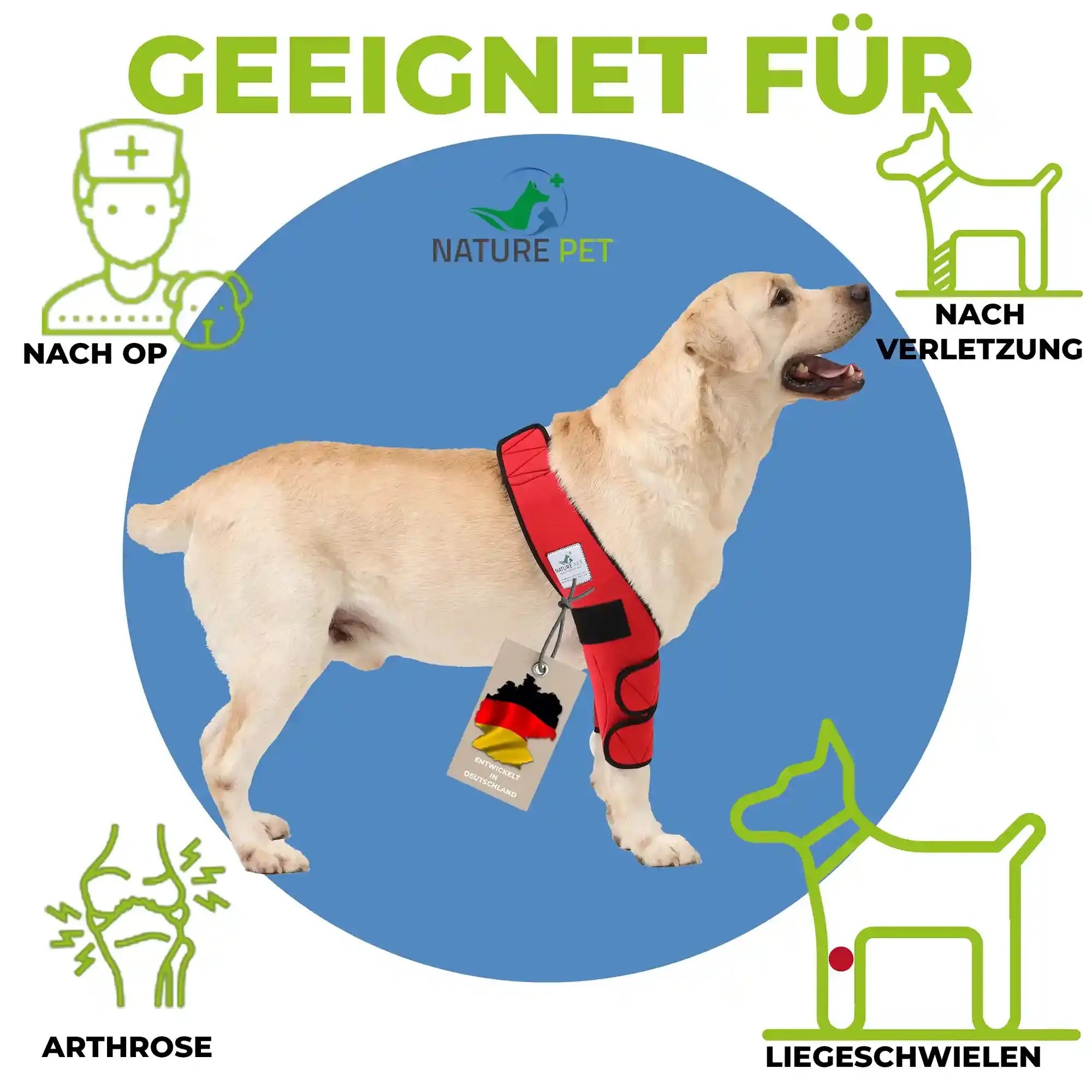 Liegeschwielen Hunde-Bandage