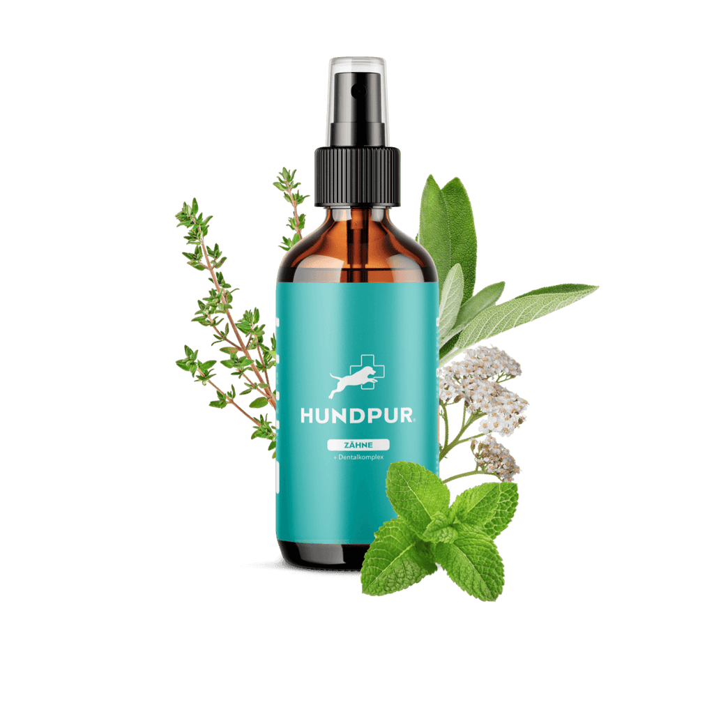 Dentalspray Hundpur®