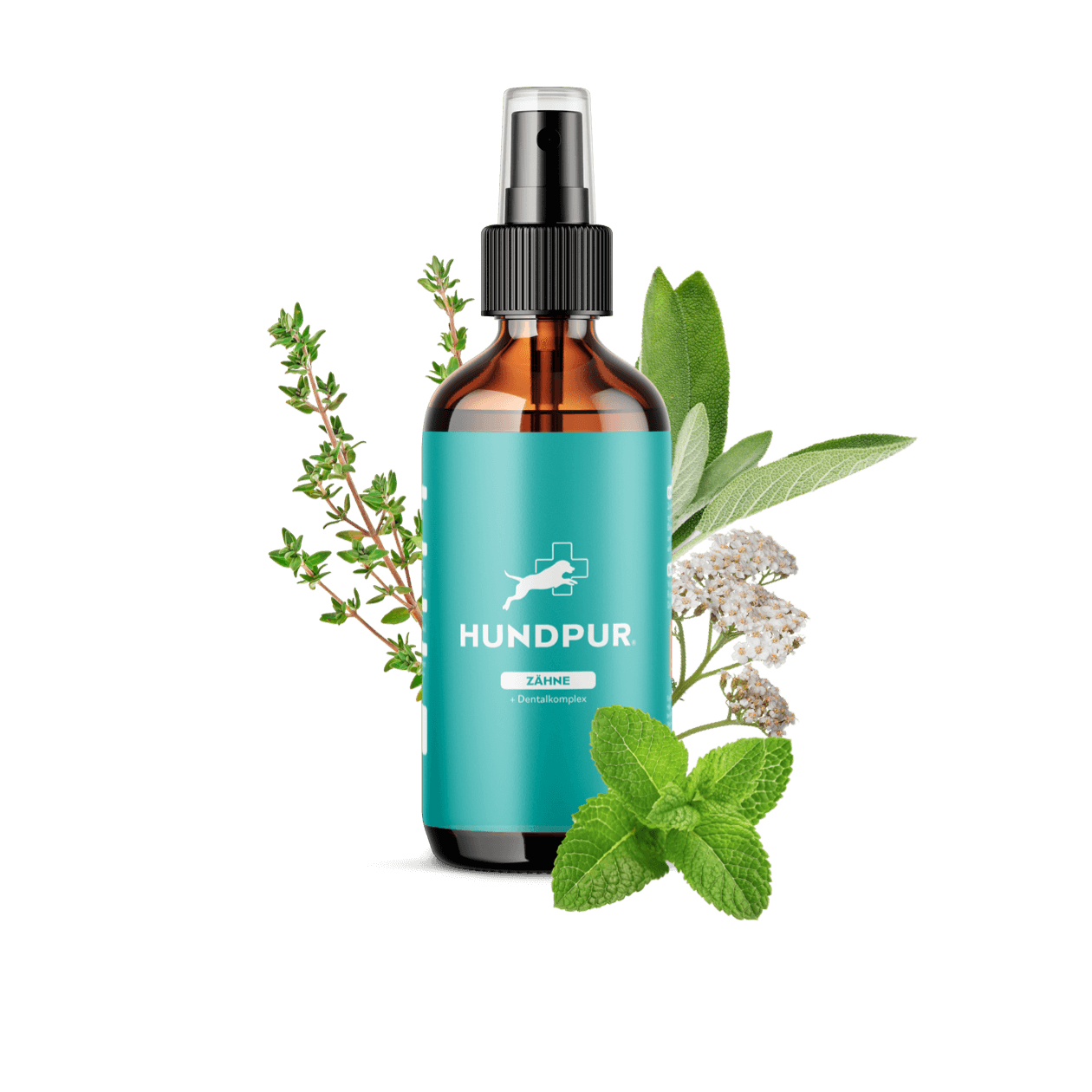 Dentalspray Hundpur®