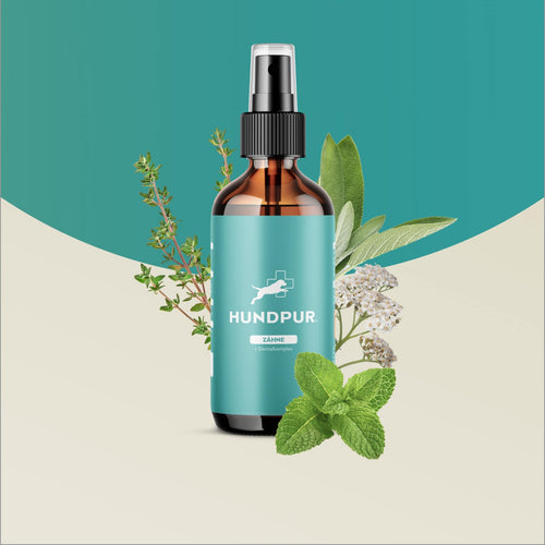 Dentalspray Hundpur®