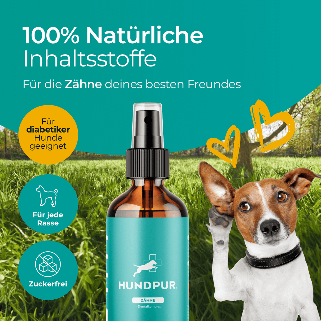 Dentalspray Hundpur®