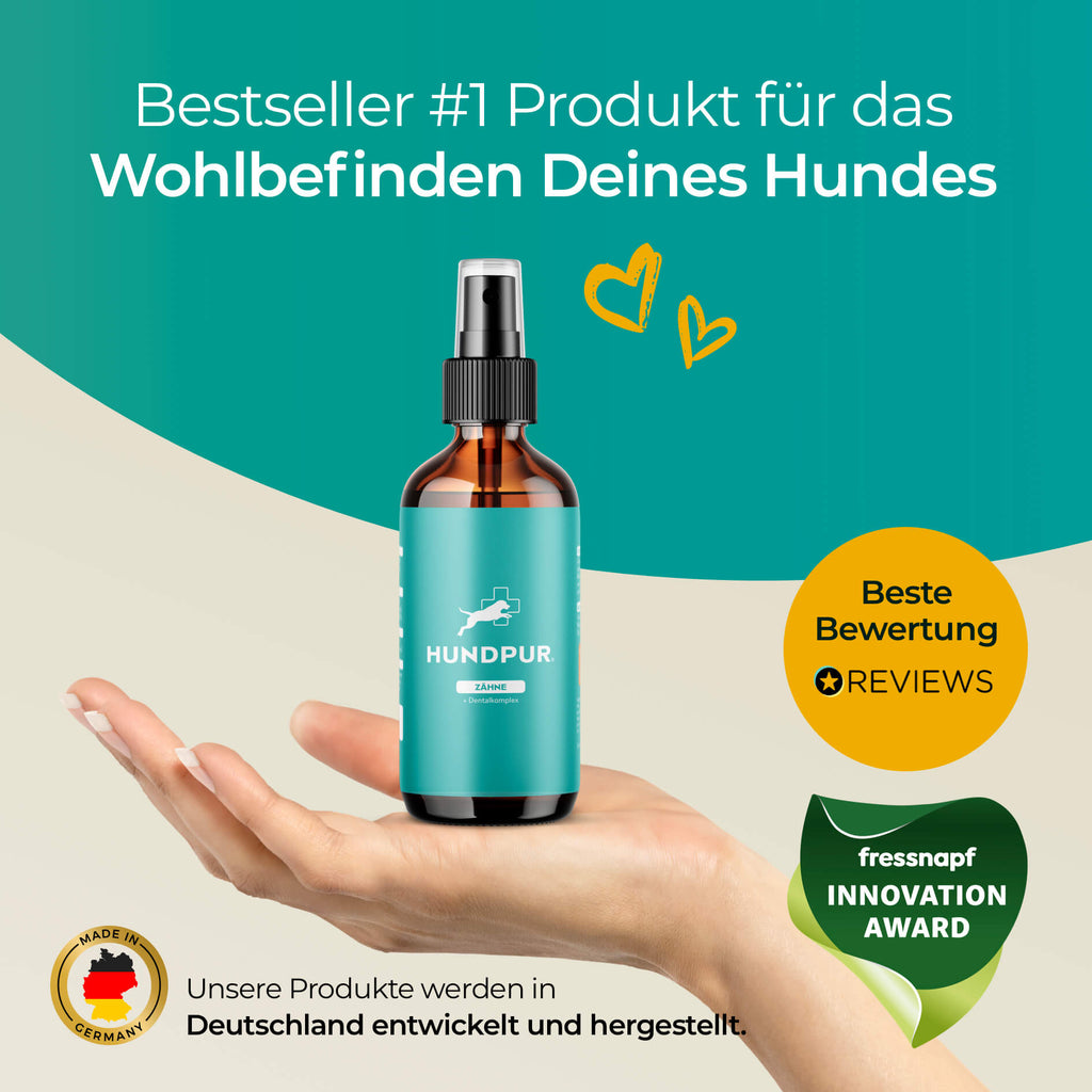 Dentalspray Hundpur®