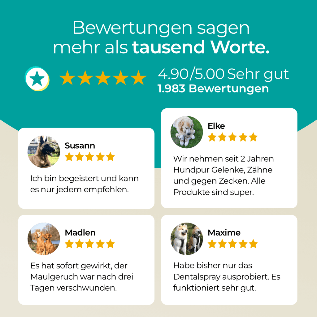 Dentalspray Hundpur®