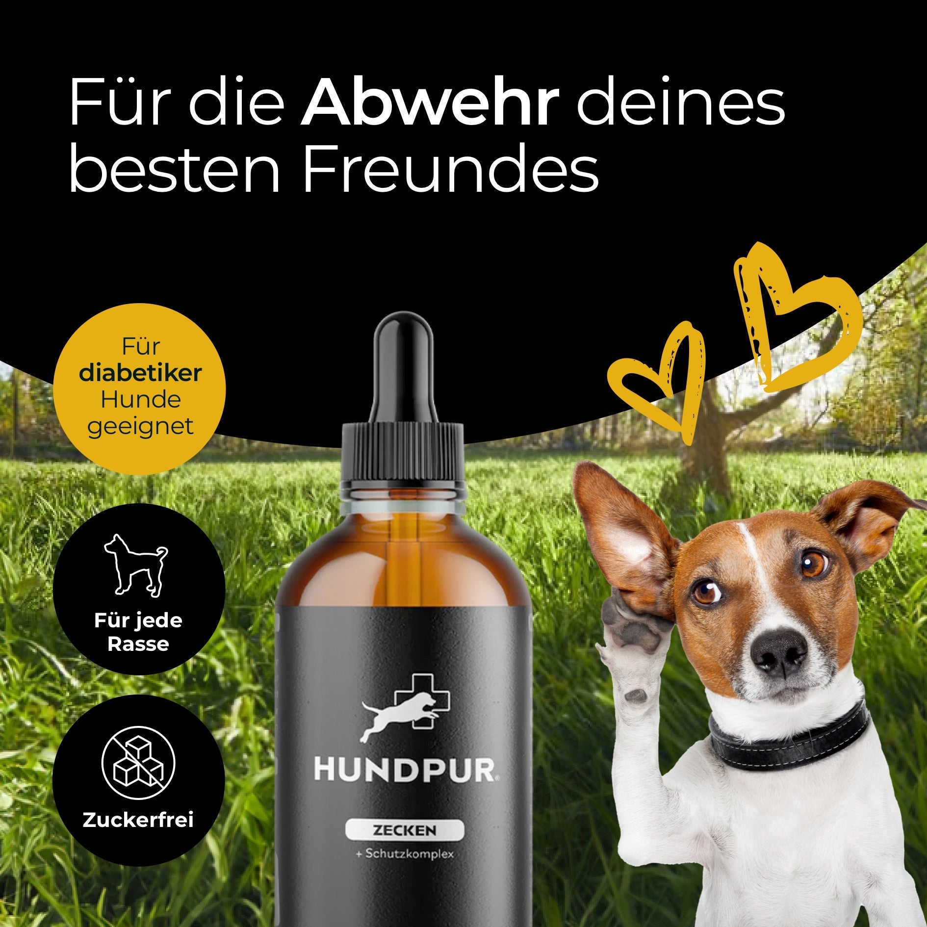 Zeckenschutz von Hundpur®