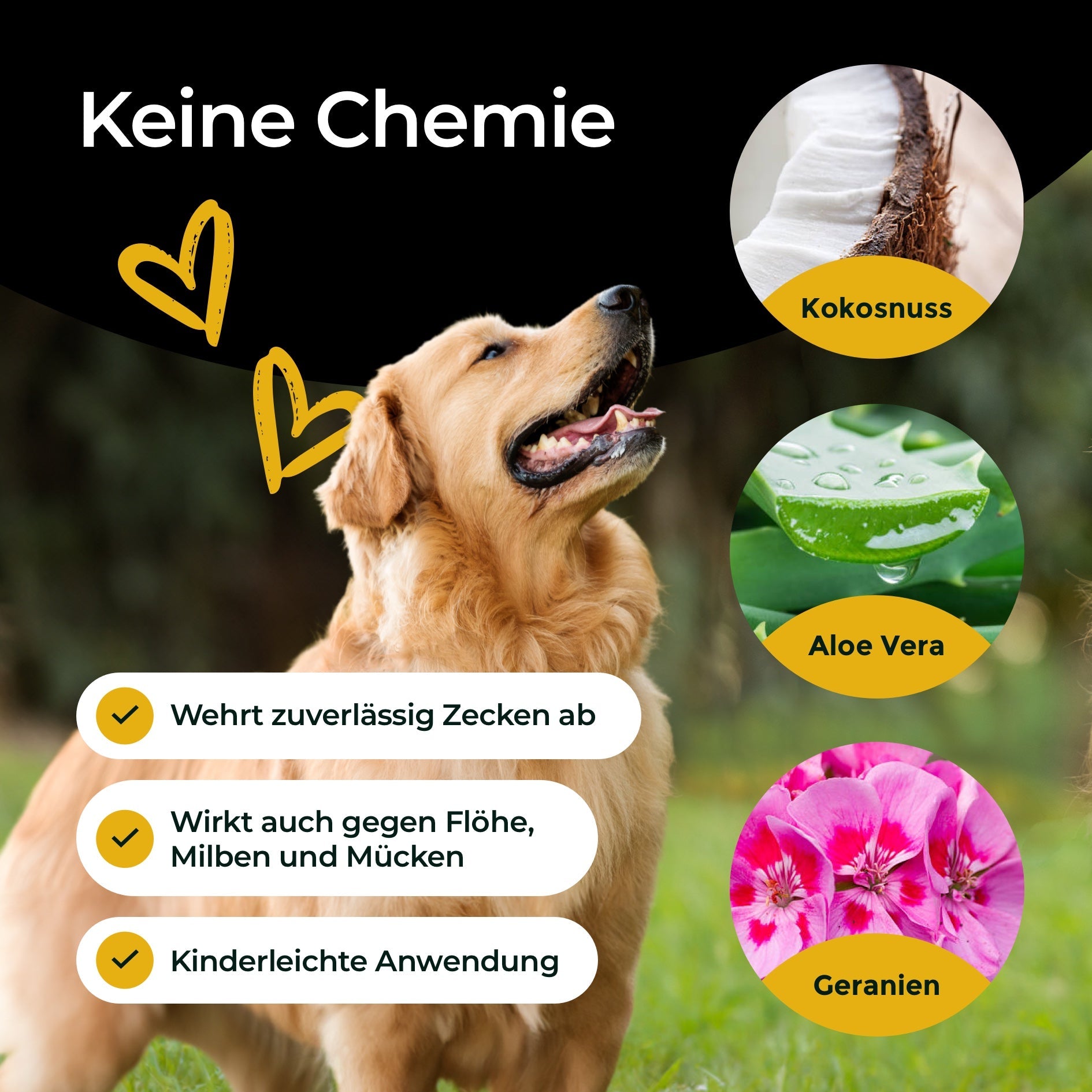 Zeckenschutz von Hundpur®