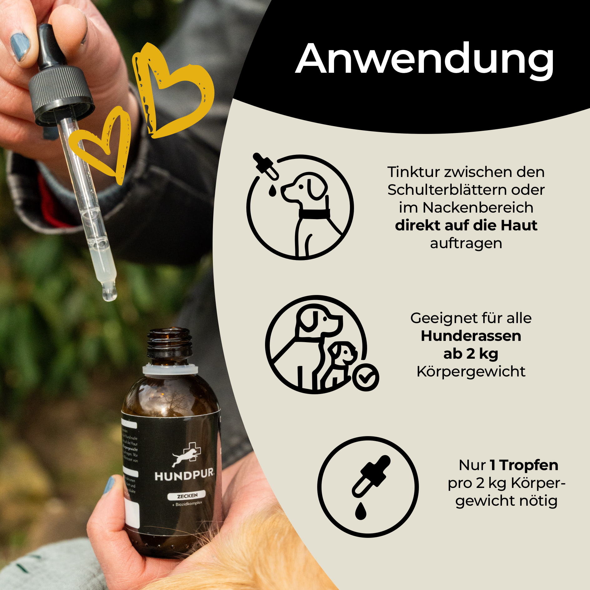 Zeckenschutz von Hundpur®
