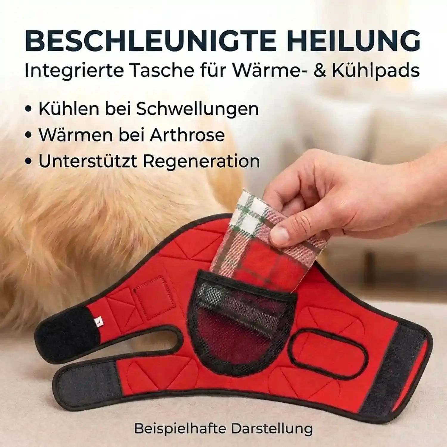 Liegeschwielen Hunde-Bandage