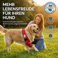 Liegeschwielen Hunde-Bandage