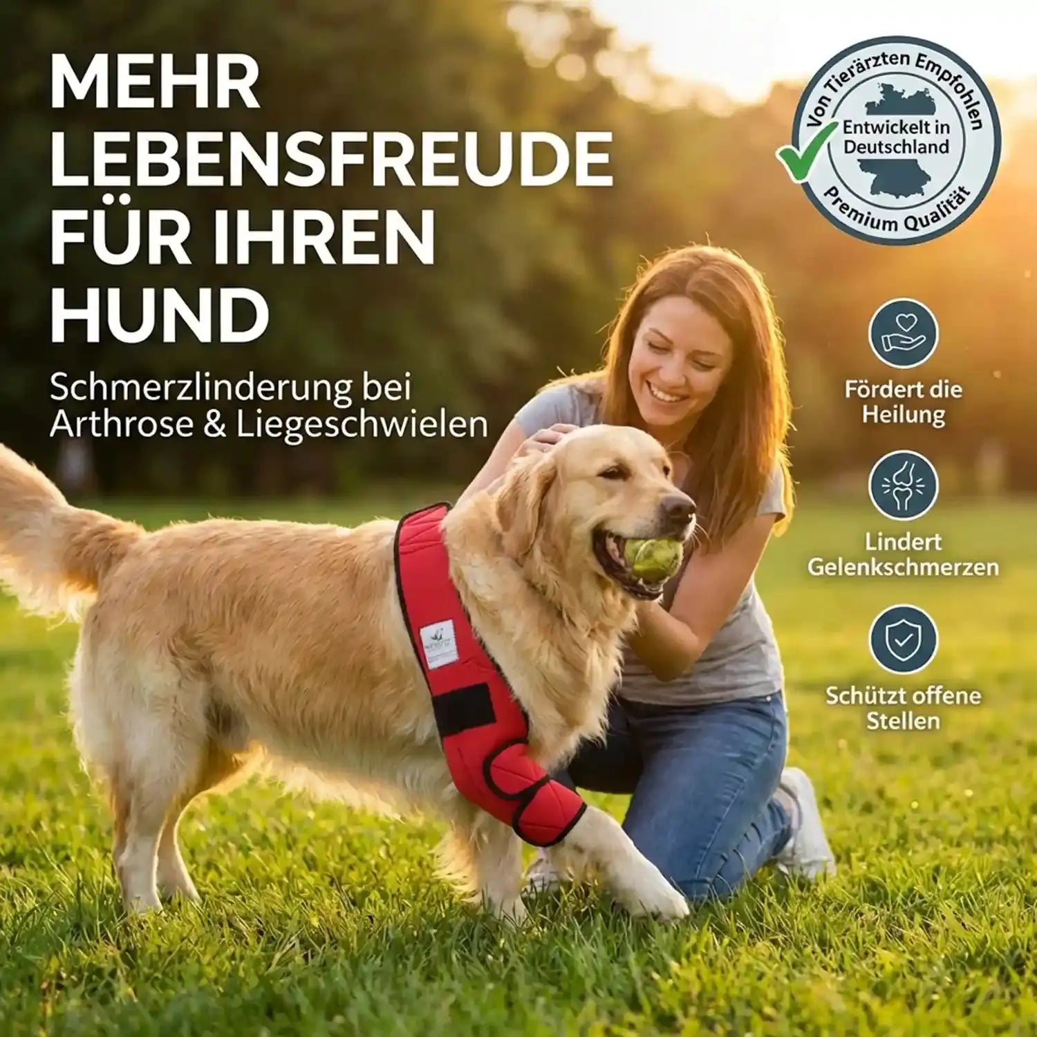Liegeschwielen Hunde-Bandage