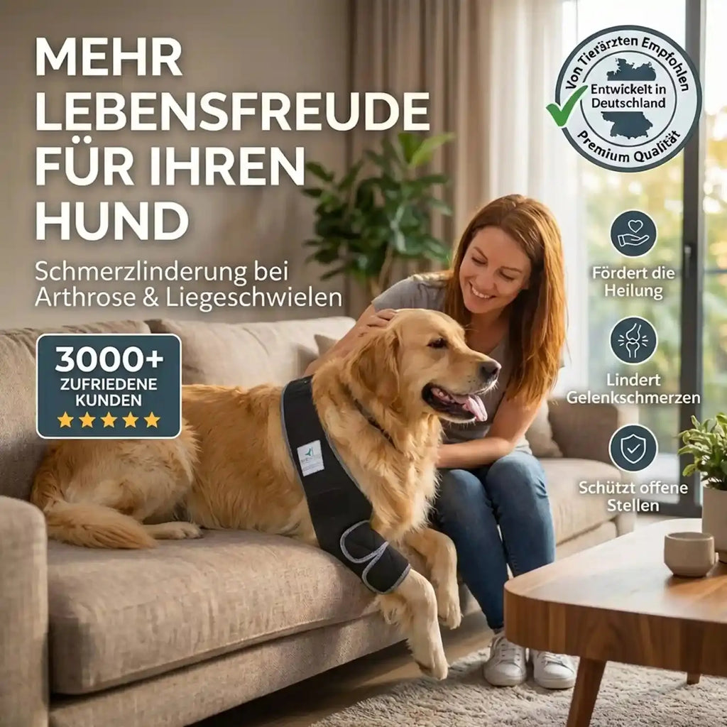 Liegeschwielen Hunde-Bandage