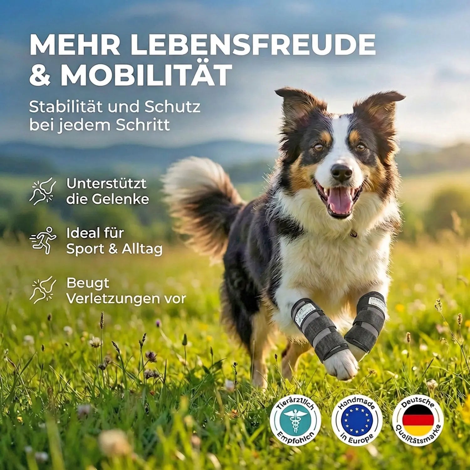 Hunde-Sportbandage