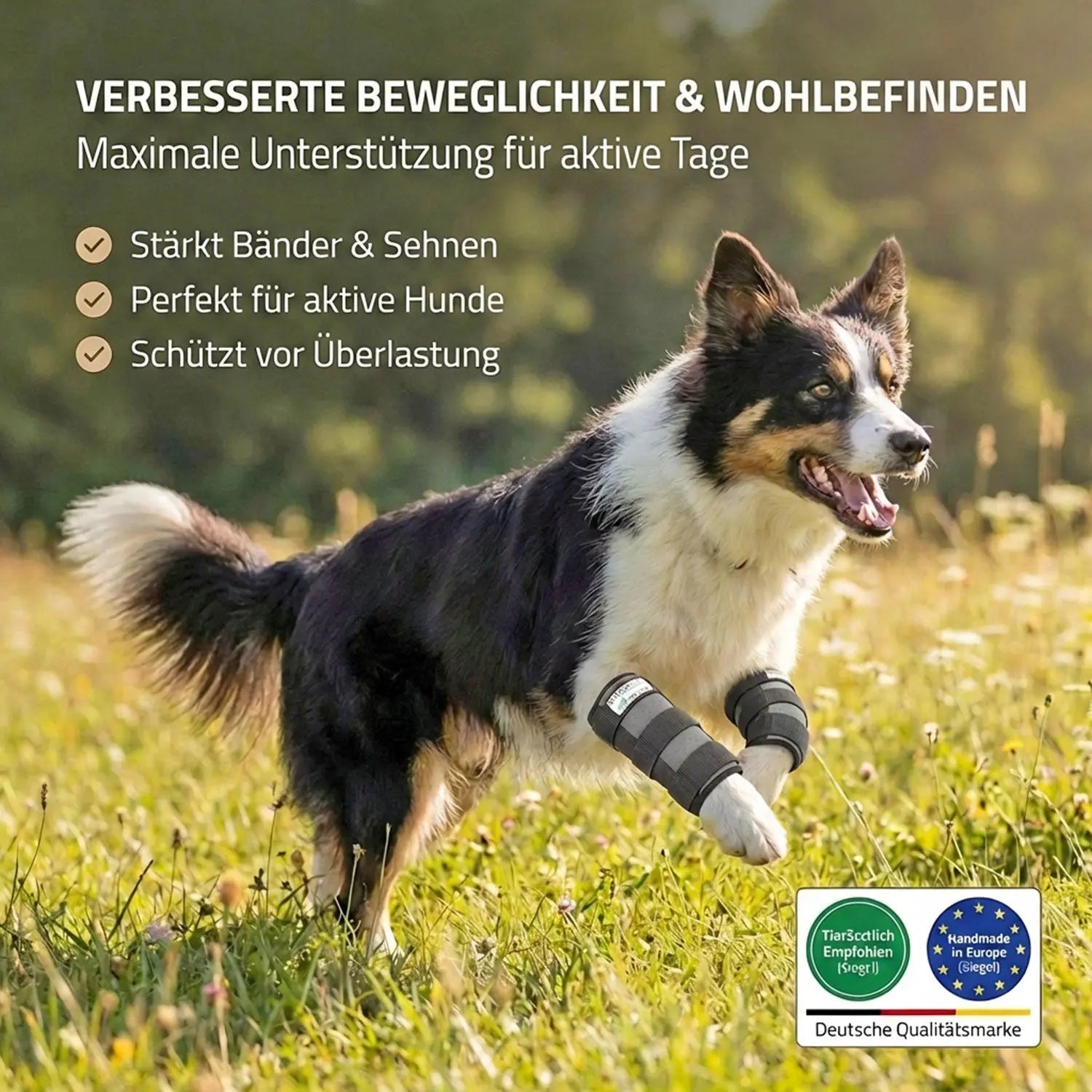 Hunde-Sportbandage