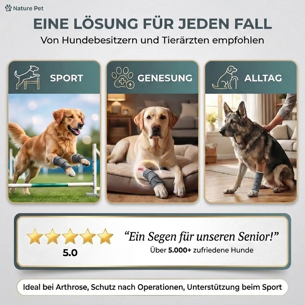 Hunde-Sportbandage