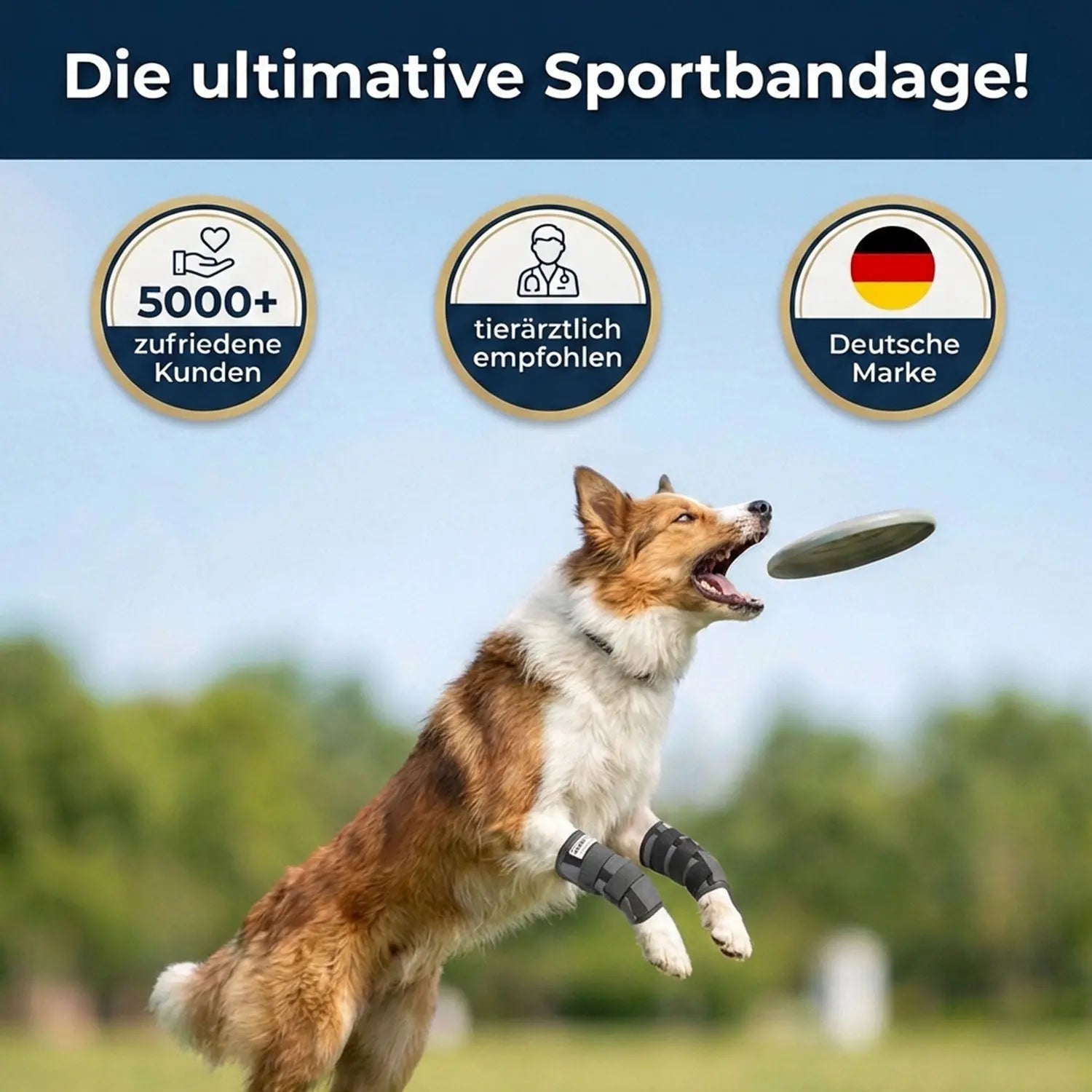Hunde-Sportbandage