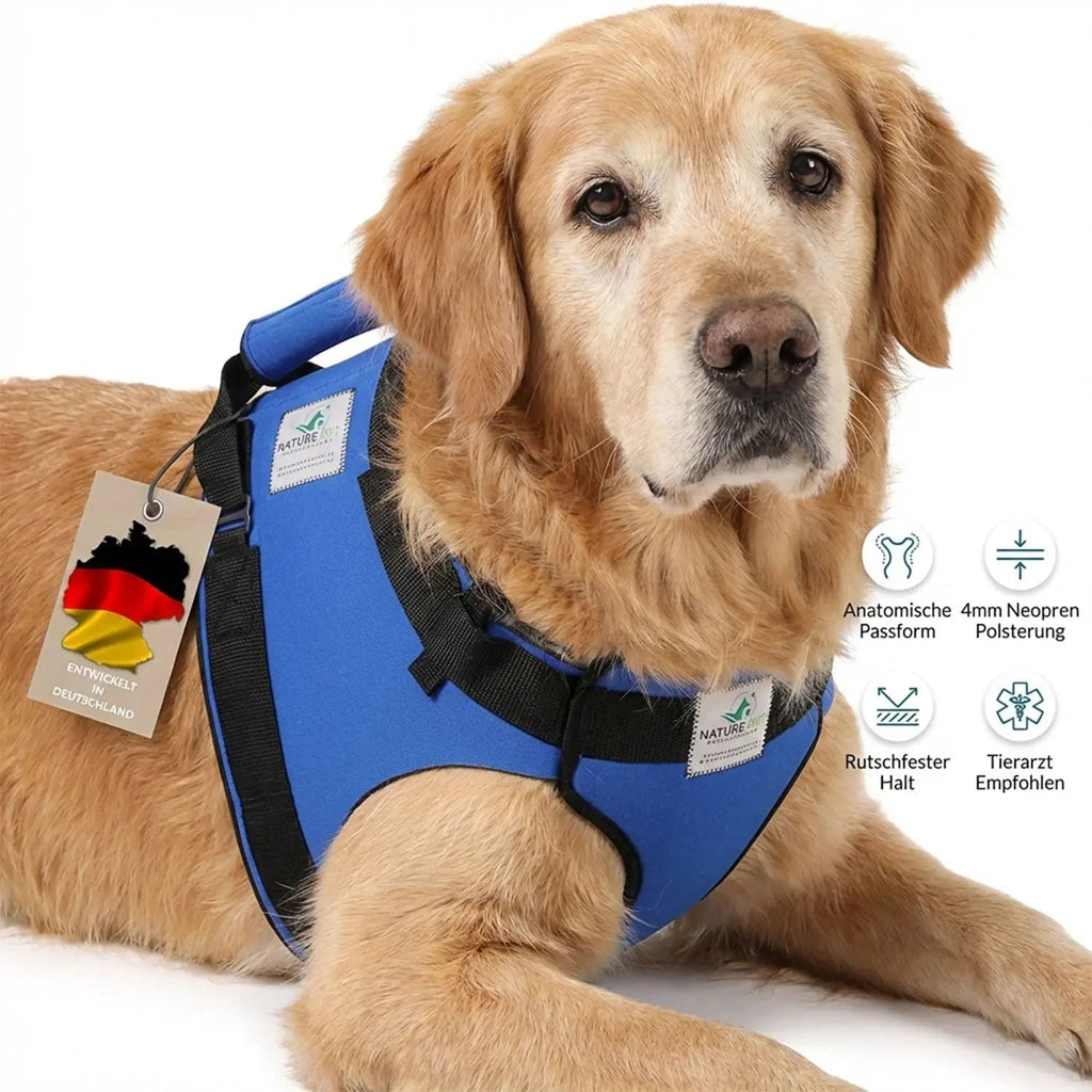 Hunde Tragehilfe (vorne)