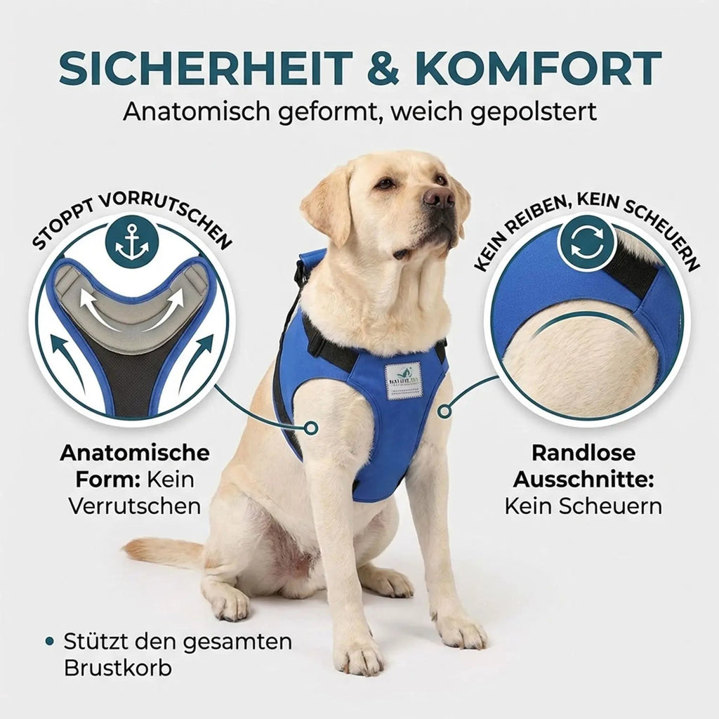 Hunde Tragehilfe (vorne)