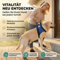 Hunde Tragehilfe (vorne)