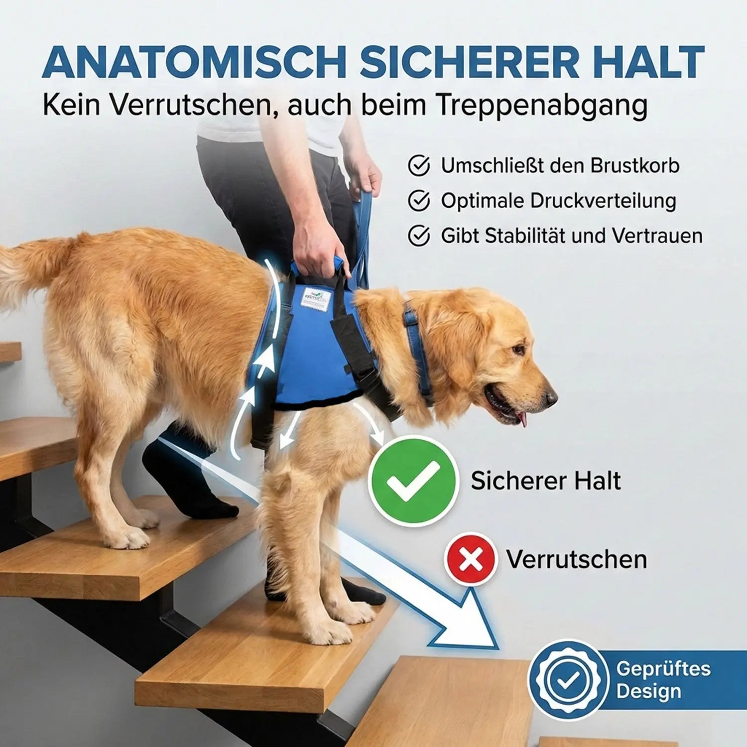 Hunde Tragehilfe (vorne)