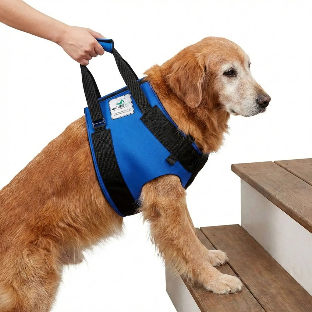 Hunde Tragehilfe (vorne)