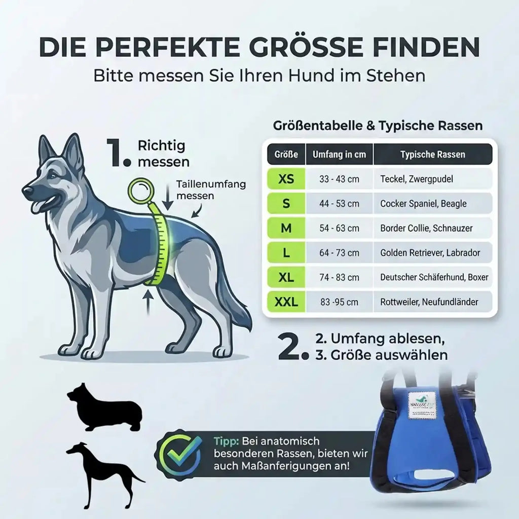 Hunde Tragehilfe (hinten)