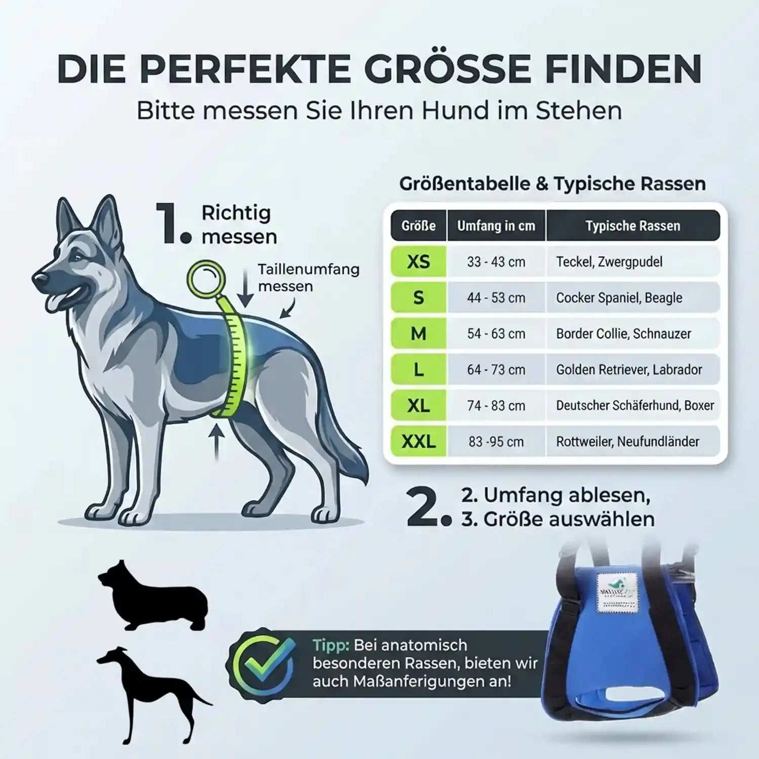 Hunde Tragehilfe (hinten)