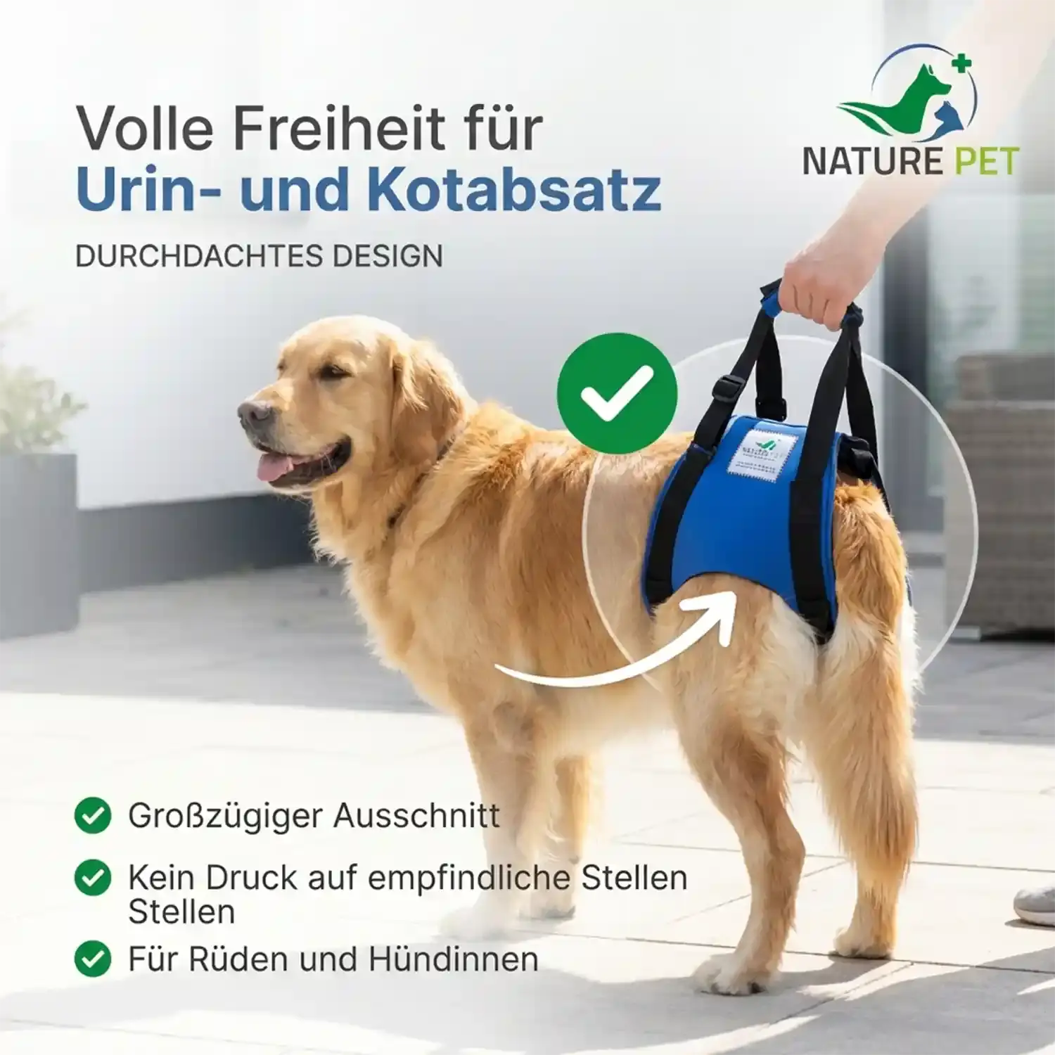 Hunde Tragehilfe (hinten)